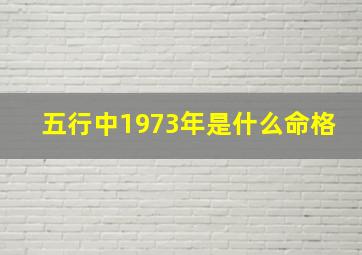 五行中1973年是什么命格