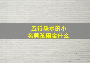 五行缺水的小名男孩用金什么