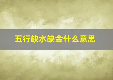 五行缺水缺金什么意思