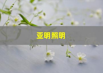 亚明照明