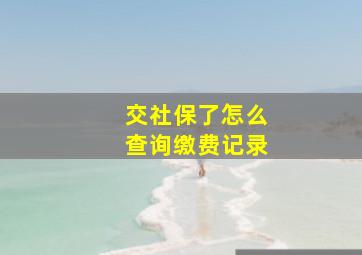 交社保了怎么查询缴费记录