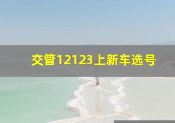 交管12123上新车选号