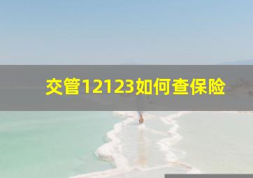 交管12123如何查保险