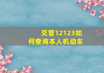 交管12123如何查询本人机动车