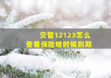 交管12123怎么查看保险啥时候到期