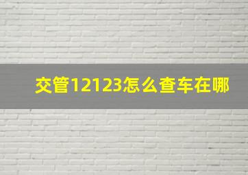 交管12123怎么查车在哪