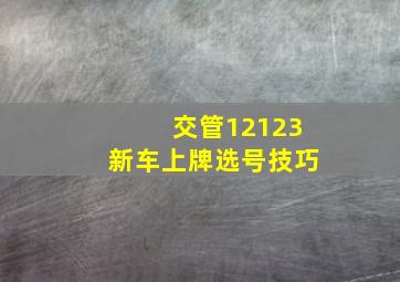 交管12123新车上牌选号技巧