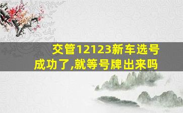 交管12123新车选号成功了,就等号牌出来吗