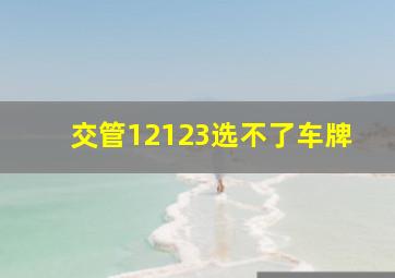 交管12123选不了车牌