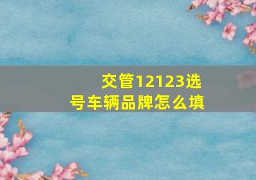 交管12123选号车辆品牌怎么填