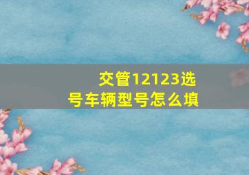 交管12123选号车辆型号怎么填