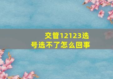 交管12123选号选不了怎么回事