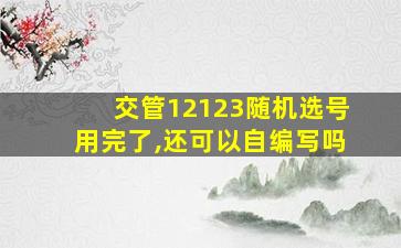 交管12123随机选号用完了,还可以自编写吗