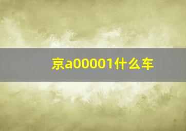 京a00001什么车