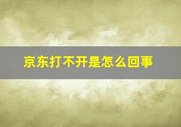 京东打不开是怎么回事