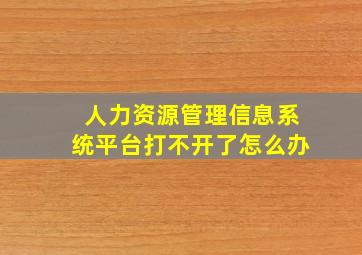 人力资源管理信息系统平台打不开了怎么办