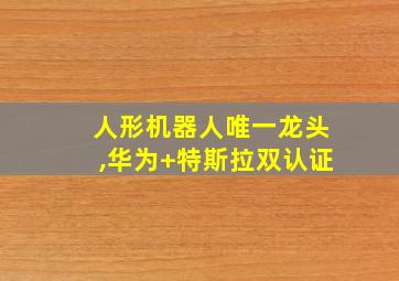 人形机器人唯一龙头,华为+特斯拉双认证