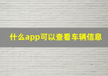 什么app可以查看车辆信息