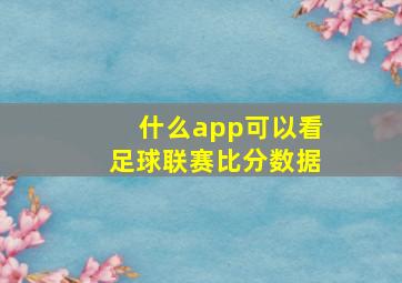 什么app可以看足球联赛比分数据