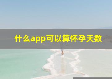 什么app可以算怀孕天数