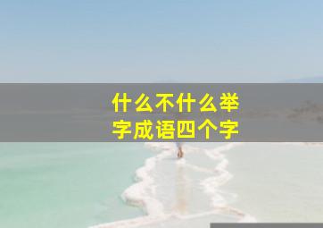 什么不什么举字成语四个字