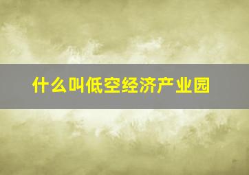 什么叫低空经济产业园