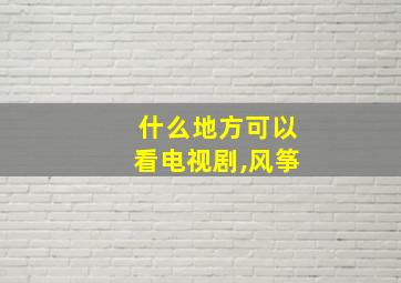 什么地方可以看电视剧,风筝