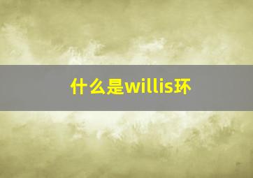 什么是willis环