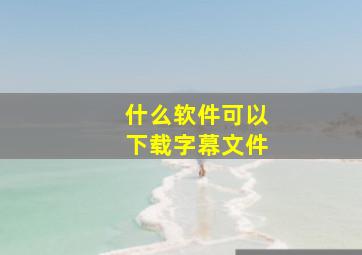 什么软件可以下载字幕文件