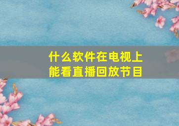 什么软件在电视上能看直播回放节目