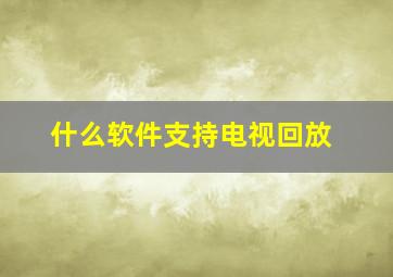 什么软件支持电视回放