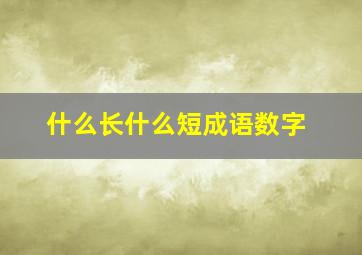 什么长什么短成语数字