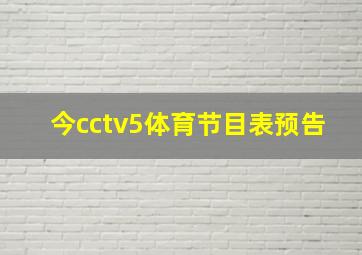 今cctv5体育节目表预告