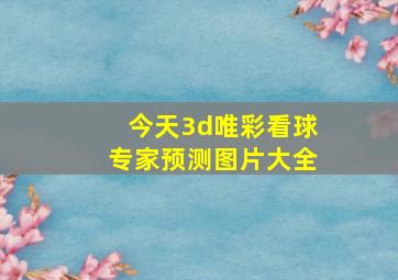 今天3d唯彩看球专家预测图片大全