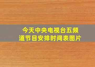 今天中央电视台五频道节目安排时间表图片