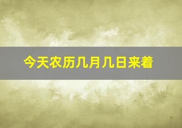 今天农历几月几日来着