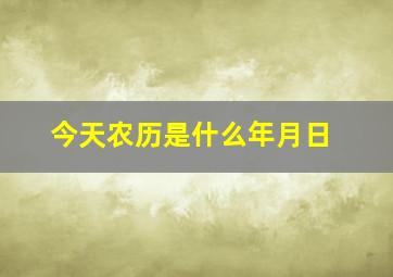 今天农历是什么年月日