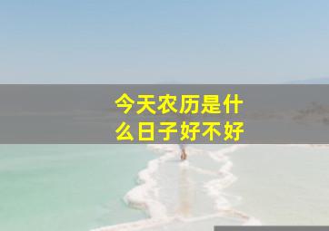 今天农历是什么日子好不好