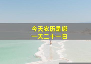 今天农历是哪一天二十一日