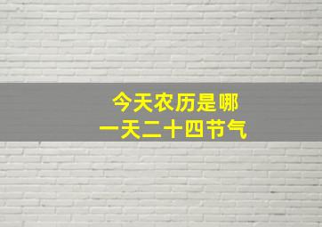 今天农历是哪一天二十四节气