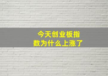 今天创业板指数为什么上涨了