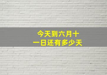 今天到六月十一日还有多少天