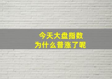 今天大盘指数为什么普涨了呢