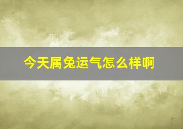 今天属兔运气怎么样啊