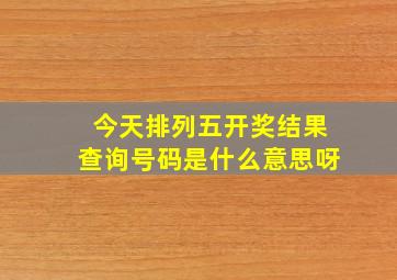 今天排列五开奖结果查询号码是什么意思呀