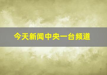 今天新闻中央一台频道