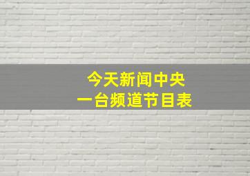 今天新闻中央一台频道节目表