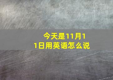 今天是11月11日用英语怎么说