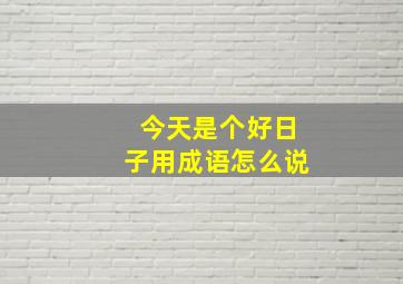 今天是个好日子用成语怎么说