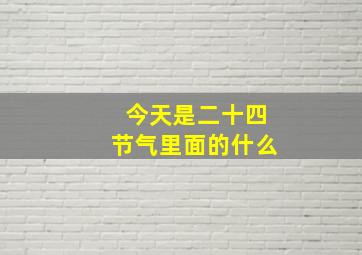 今天是二十四节气里面的什么